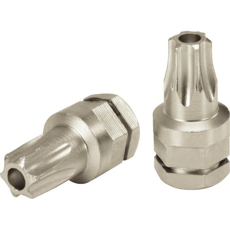 MICRO Embouts, TORX, percé, TB10 (1/2)