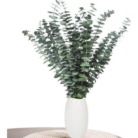 Décoration en Eucalyptus - 20 pièces d'eucalyptus séché (43 cm et Plus), Eucalyptus séché pour décoration, Mariages, Accessoires de décoration intérieure, Arrangement de Fleurs séchées, Vert