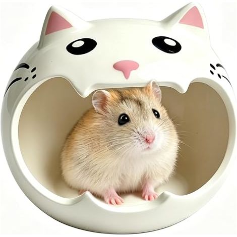 House Hamster, House Guinea Pig Ceramic Animal Shape  Heavy Duty Guinea Pig Hut Hamster Accessory for Dwarf Hamsters, Gerbils and Rodents