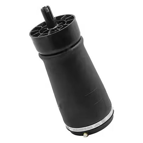 Ressort Pneumatique Arrière Compatible avec Land Rover Range Rover & Sport - LR034262 (1/4)