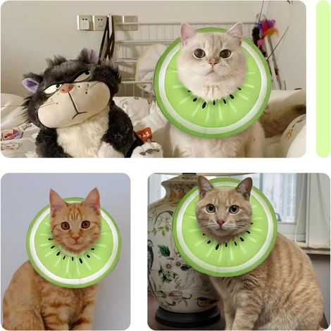 Collerette élisabéthaine grande taille pour animal, adaptée aux chiens et chats de 6 à 13 livres, protection (1/5)