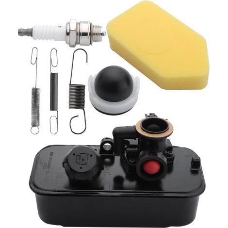 Vergaser mit Tank Briggs and Stratton mit Zündkerze, Feder, Filter und Anlasserbirne 795469 794147