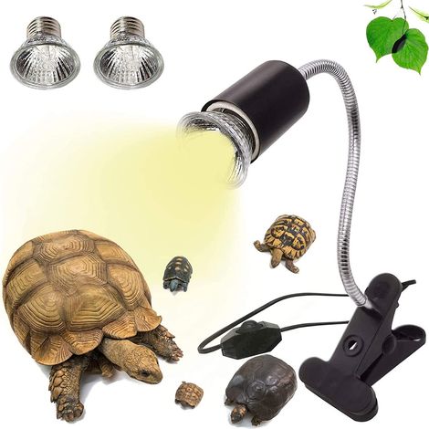 Lampes UVA et UVB de 25 W et 50 W, 2 lampes chauffantes pour reptiles terrestres (1/4)