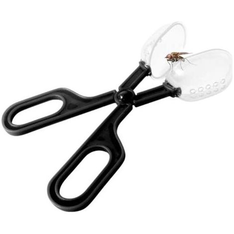 Cage à reine pour abeilles - Outil de capture transparente pour apiculteurs, permet d'attraper la reine sans déranger les autres abeilles, accessoire apicole pratique (1/5)