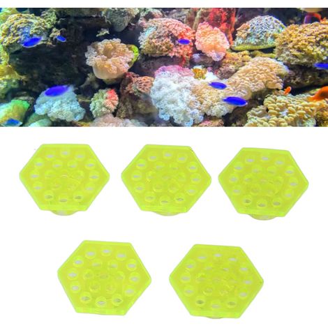 Supports de Corail en Forme Hexagonale Vert Fluorescent - Base pour Branche Cassée - Pour Aquarium Marin (Lot de 5) - AUTRES (1/5)