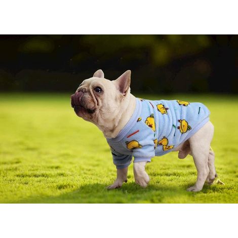 Ropa para perros y gatos, abrigo, suéter, disfraz de aguacate, pato, vaca, dibujos animados, suave, cálido, forro polar coral, con capucha, ropa de invierno para mascotas, mono (1/5)
