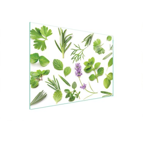 PLACA PROTECTORA DE VIDRIO PARA ESTUFA 70x52 PLANTAS (1/5)
