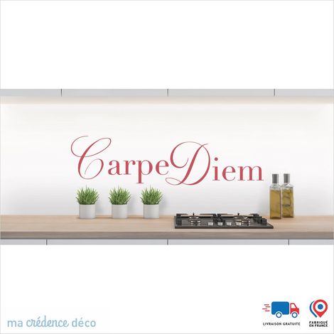 Crédence : CARPE DIEM - Couleur Rose clair - Alu composite - 120 - 60 (1/3)
