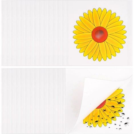 Mouches Piège Autocollant Fenêtre 30 Pièces 9.5x9.5cm, Non Toxique Inodore Attrape Mouches Fleur Anti Insectes Nuisibles Cuneary (1/5)