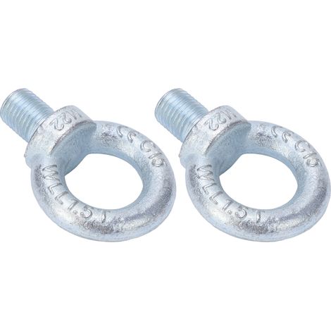 2PCS Boulons à Anneau de Levage M22 en Acier Galvanisé, Filetage Complet pour Levage et Élingage (1/5)
