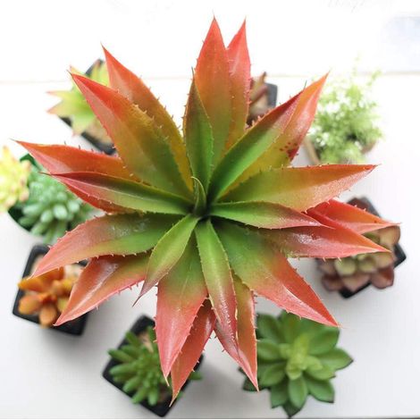 Plante artificielle Aloès vera - 30,5 cm de large Pour décoration intérieure et extérieure, jardin et salle de bains (1/5)
