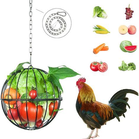 Mangeoire suspendue pour poules — Matériel d'alimentation pour volailles et accessoires pour poulailler (1/5)