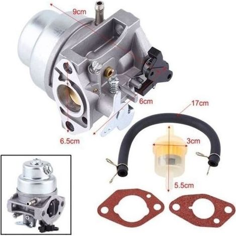 pair carburateur de tondeuse à gazon et Kit Joint pour Honda GCV160 GCV135--Yuyuan (1/4)