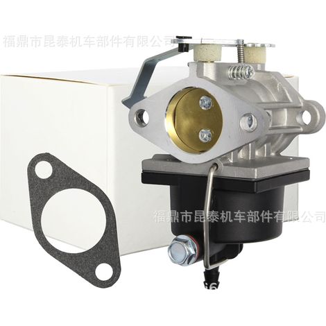 Carburateur pour moteur Tecumseh 640353 640285 640289 640328 OH318 (1/5)