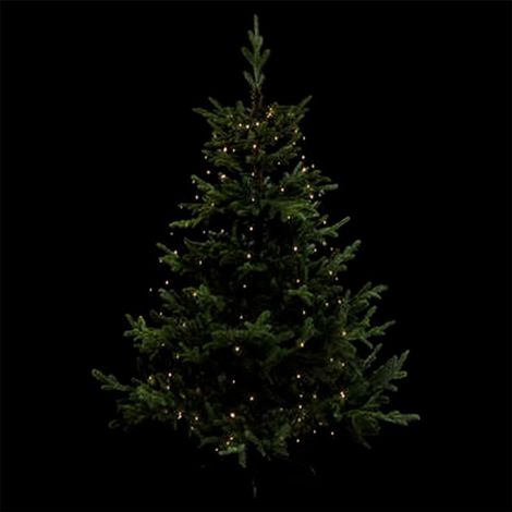 Paris Prix - Guirlande De Noël copp Pluie 165cm Blanc Chaud