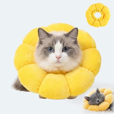 Collerette pour Chat Design Tournesol Collier Elisabethain Doux Protection pour Chats Apres Operation Anti Lechage Anti Puces Protection Cou Reglable pour Petits Chats Confortable et Respirant (1/5)