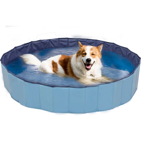Piscina rigida blu gioco per cani grandi e piccoli diametro 160 x altezza 30cm (1/2)