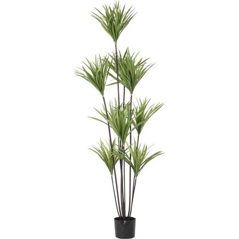 Planta Poliester Pp 75X75X180 Dracena Verde JA192601 (1/4)