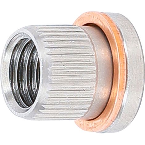 BGS  Rosca  de  recambio  para  Art.  148  M9  x  1,25  -  148-1