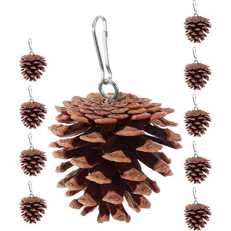 Lot de 10 jouets à mâcher naturels en pommes de pin pour perroquets, destinés à ronger leur bec. (1/5)