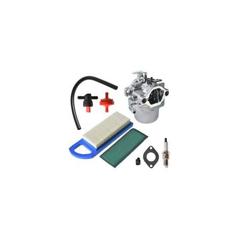 796077 Kit de reparación de carburador de repuesto para motores 215802, 215807, 215872, 217802, 217807, 217902, 217907 y 590399 - Crezuo (1/4)