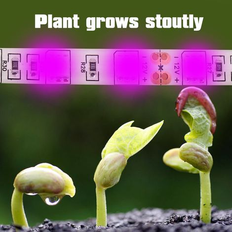 Bandes LED 5:1 pour la croissance des plantes, haute efficacité lumineuse, source optique d'appoint pour la floraison (1/5)