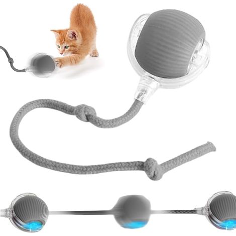 Rolling Ball for Cats and Dogs, Interactive Rolling Ball for Cats, Interactive Dog Toy Ball That Moves by itself (Grey) (1/4)