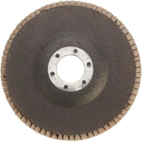 Disques À Lamelles - Oxyde D'aluminium - 115 mm - Trou Central 23 mm - Grains 40 60 80 - Pour Meuleuse Angle 115 mm - Lot De 15 Pièces (1/4)