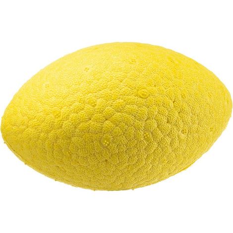 Balle de rugby, jouet de taille moyenne, fabriquée à partir de matériaux ultra-résistants et non toxiques, avec un rebond puissant et flotte sur l'eau. Favorise l'hygiène buccale. Taille M (1/5)