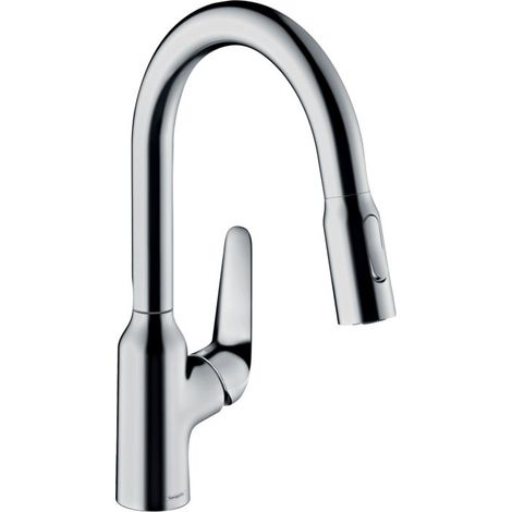 hansgrohe Focus M42 Einhebel-Küchenmischer 180, Ausziehbrause, (1/4)