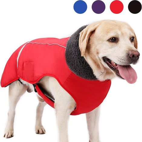 Manteau imperméable pour grand chien, veste d'hiver, vêtements pour animaux de compagnie, coupe-vent, combinaison de neige réfléchissante pour chiens de petite et moyenne taille, rouge, taille S (1/5)