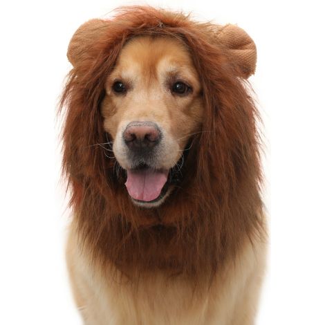 Déguisement lion pour animaux marron M x 3 modèle 8