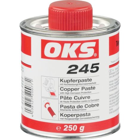 Pte de cuivre avec protection anticorrosion haute performance 245 250 ml (1/5)