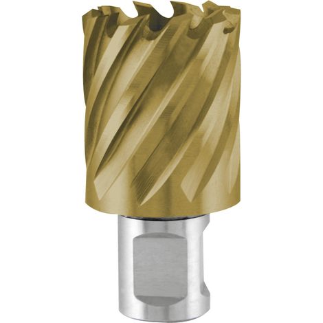 TERRAX by RUKO Kernbohrer HSS-TiN mit Weldonschaft (3/4") Schnitttiefe 30,0 mm Ø 16,0 mm - 108216TTX