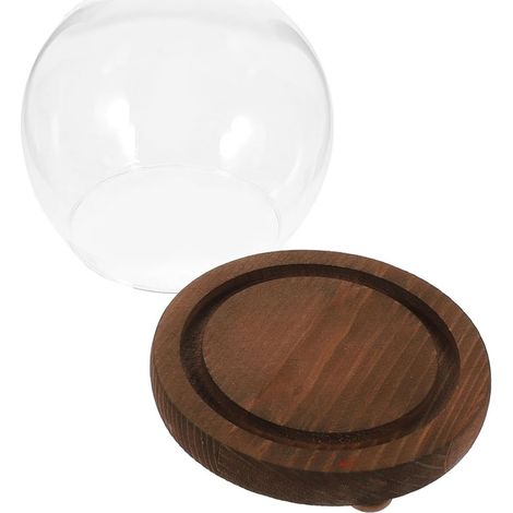 Verre Sph rique Transparente avec Socle Bois D coration de (1/5)
