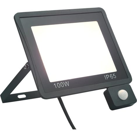 Projecteur LED, 100 W, blanc froid, pour l'éclairage d'accentuation des plafonds, jardins, façades ou espaces extérieurs.-AquaForge (1/5)