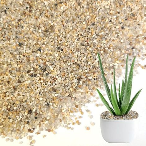 2 KG Galets Décoratifs pour Succulentes Et Cactus Gravier Fin pour Jardinières Pierres De Remplissage Naturelles pour Aménagement Paysager Et Pots De Plantes (1/5)