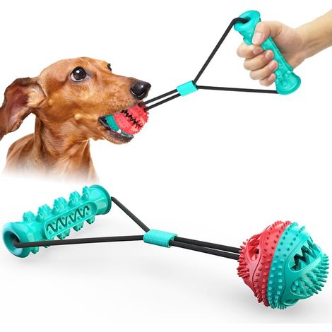 Bâton Dentaire pour Chien, Jouet à Mâcher avec Distributeur de Friandises, Nettoyage des Dents et Jeu Interactif (1/5)