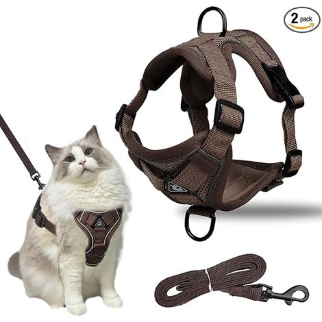 Cat Harness with Leash, Adjustable Cat Harness, Soft Safety Vest for Kittens, Puppies (M) (1/5)