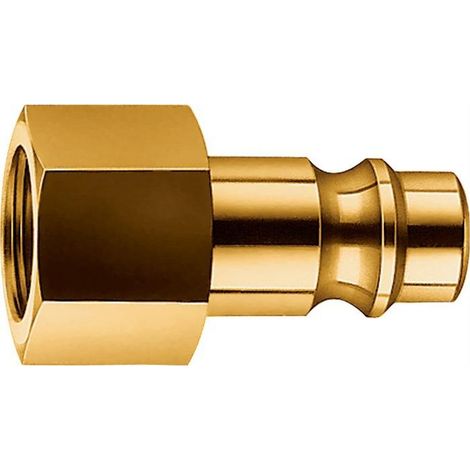 EWO nipplo maschio ottone con filetto interno G 1/4" - 308-055 (1/3)