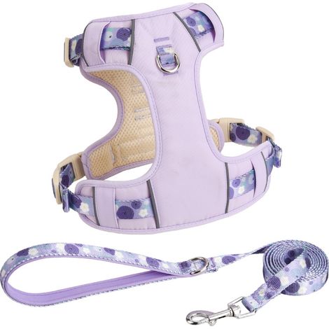 Laisse pour chien, gilet d'été, harnais respirant, laisse pour chiens de toutes tailles (Corgi Bichon Excursion), violette, taille XXS (tour de poitrine 84-109 cm, environ 2,5-5 kg), violette (1/5)