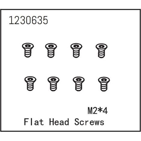 Flat Head Screw M2x4