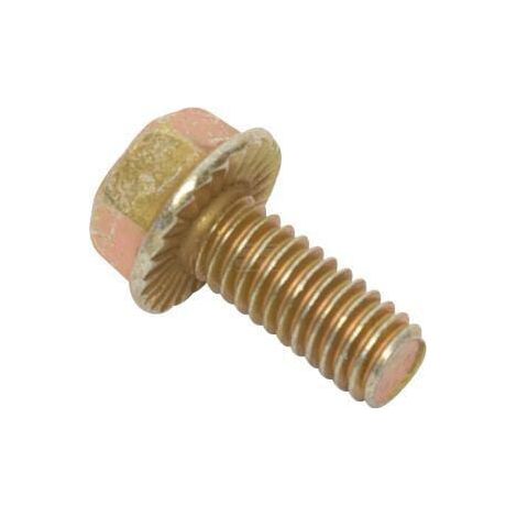 Vis BRIGGS & STRATTON 703354