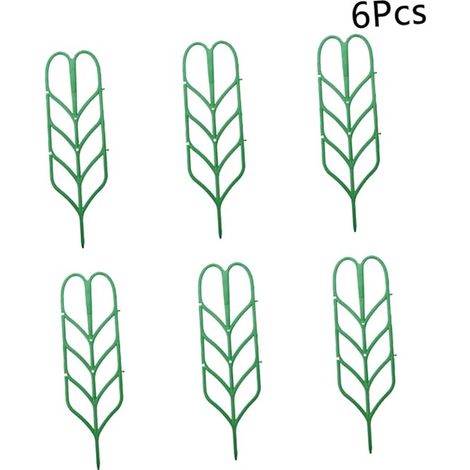 Lot de 6 mini-plantes d'intérieur en pot pour terrasse (1/5)