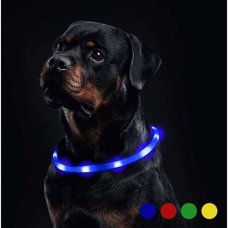 [NEUWERTIG]  LED-Hundehalsband, wasserdicht, mit einer Dauerlichtdauer von 20 Stunden. Wiederaufladbar über USB, verfügt über 3 Beleuchtungsmodi. RTGPT. (Blau)-INHHUB