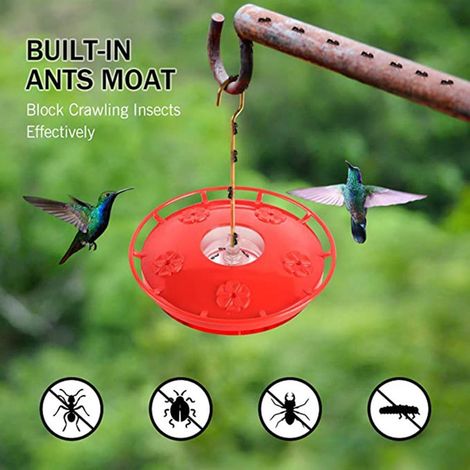 Distributeur de Nectar Anti-Fuite pour Colibris - Mangeoire Extérieure Suspendue pour Oiseaux-Mouches