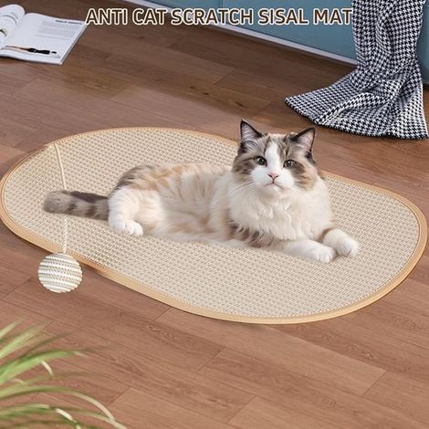 Katzenkratzmatte – Sisal-Kratzbrett – Möbelschutz – Natürliche Streckhaltung – 55 x 33 cm – Natur-Sisal (1/5)