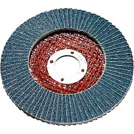Disque à Lamelles 125 mm - Gr. 40 - Idéal pour Ponçage et Finition - Longue Durée - D-Work (1/2)