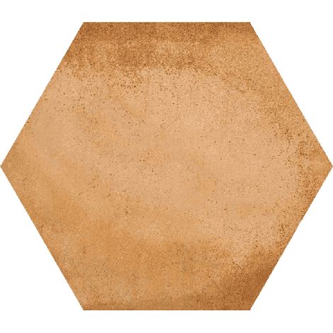 Vives Azulejos Y Gres – Carrelage effet chaux hexagone 26.6x23cm – Terre cuite – Mat – Pour intérieur et extérieur – Boîte de 0.50 m2 (1/4)