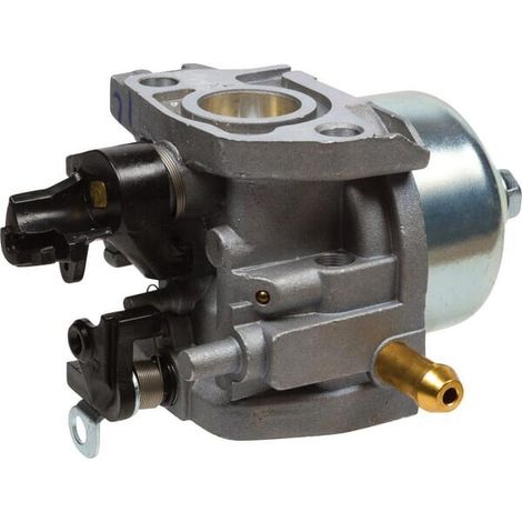 Carburatore completo AL-KO AK411907 (1/4)